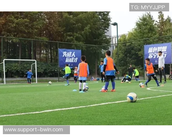 海德堡足球俱乐部:追寻绿茵场上的荣耀与梦想之旅 海德堡足球俱乐部:追寻绿茵场上的荣耀与梦想之旅