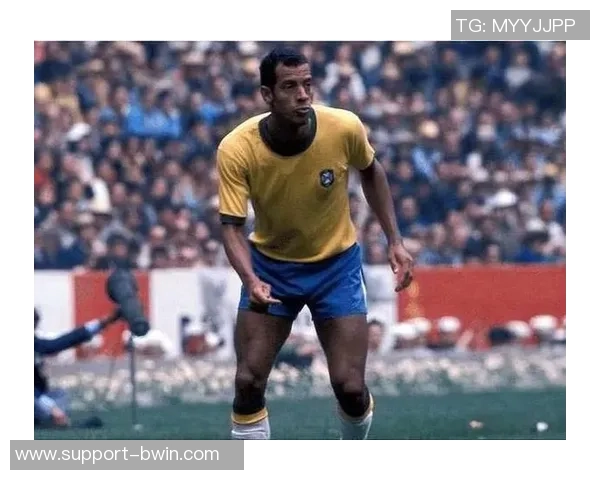 足球史上最佳后卫的传奇与影响力解析与评选